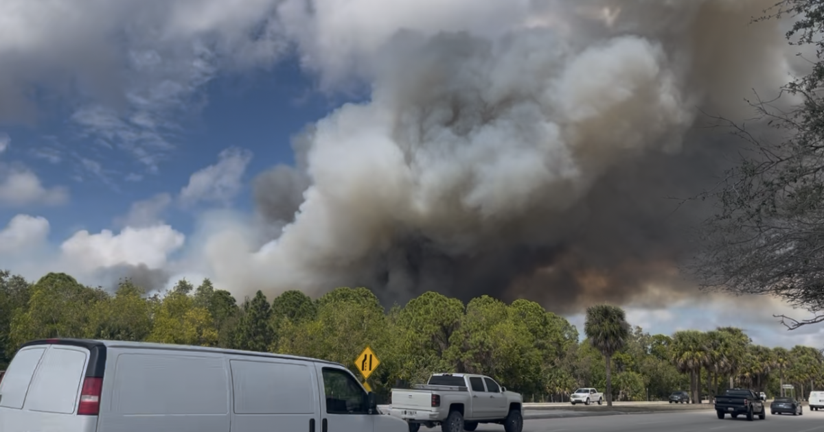 Brush fire burning in Cape Coral
