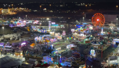 Things to do in Tampa Bay this weekend