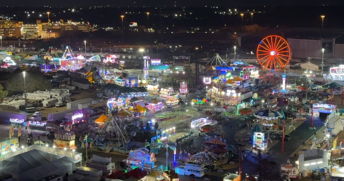 Things to do in Tampa Bay this weekend