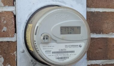 The weekend's bitter cold pushed Tallahassee's electricity demand towards an all-time record.