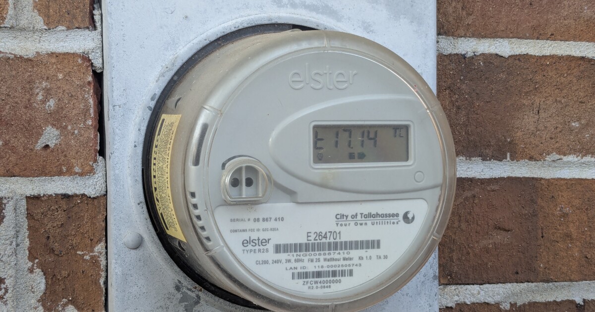 The weekend's bitter cold pushed Tallahassee's electricity demand towards an all-time record.