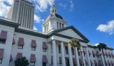 Florida domestic terrorism bill advances despite concerns