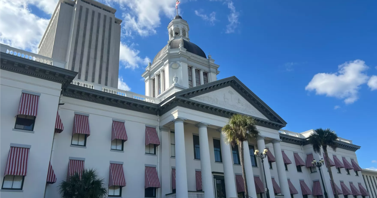 Florida domestic terrorism bill advances despite concerns