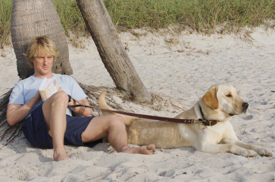 The 2008 feature film “Marley & Me,” directed by Grove resident David Frankel and starring Owen Wilson, Jennifer Aniston, and Marley (played by 22 different dogs, per Wikipedia), was filmed in Miami.