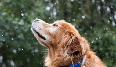 After Tallahassee's deep freeze, we get some analysis and a climate forecast