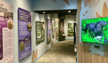 Corkscrew Swamp Sanctuary renovations, upgrades, continue