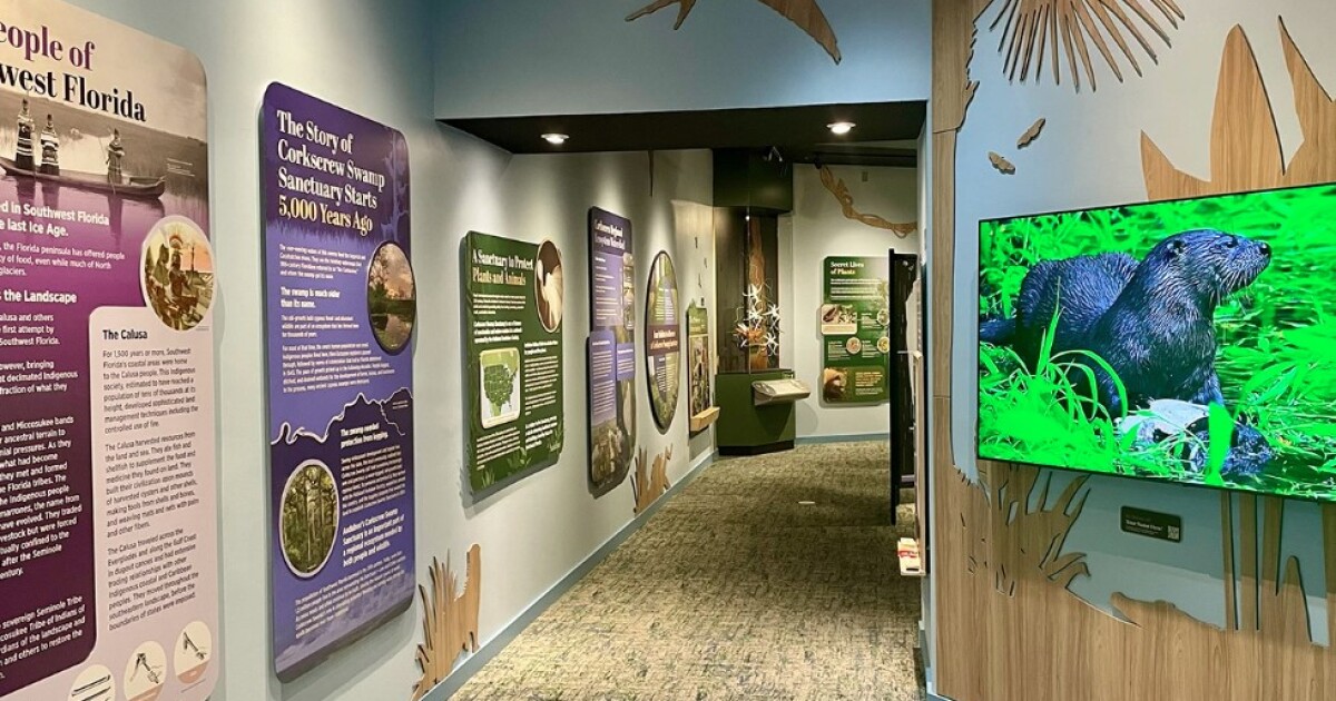 Corkscrew Swamp Sanctuary renovations, upgrades, continue