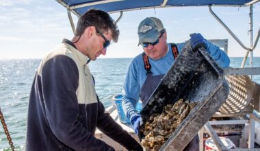 How proposed cruise port could risk Tampa Bay's environment