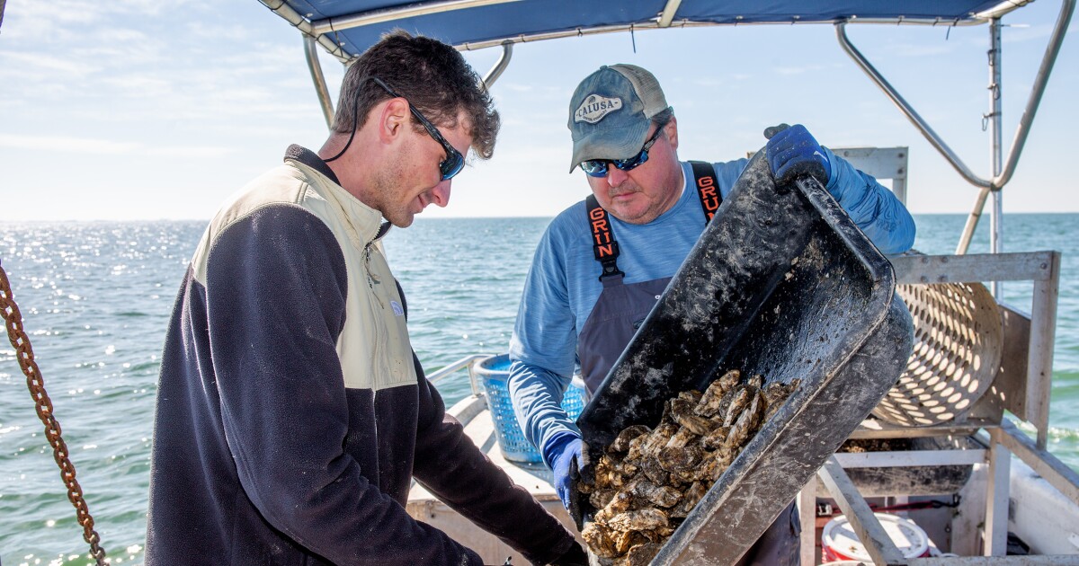 How proposed cruise port could risk Tampa Bay's environment