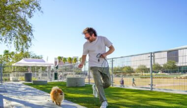New dog parks open at Tampa's Curtis Hixon Waterfront Park