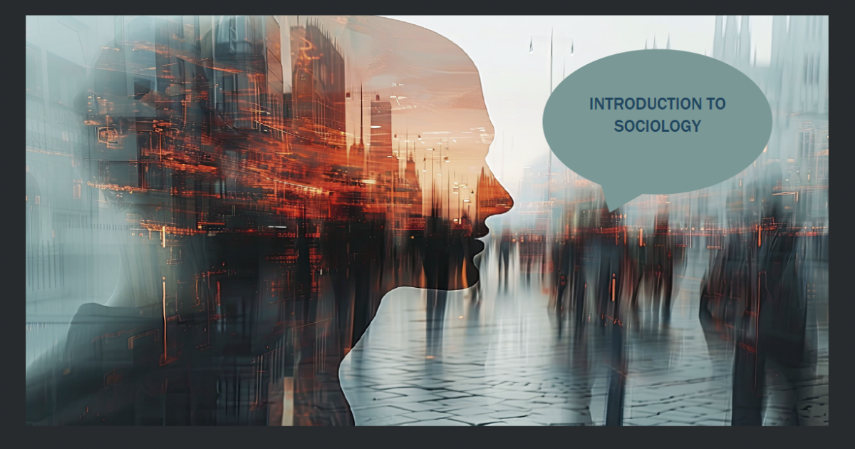 Florida's new 'stop-gap' sociology textbook has race chapter deleted