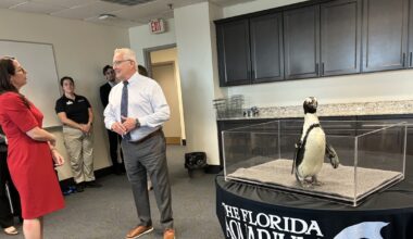 Penguins help lobby for coral restoration, hurricane protection