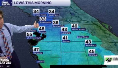 Warm stretch continues in Tampa Bay ahead of Valentine’s Day