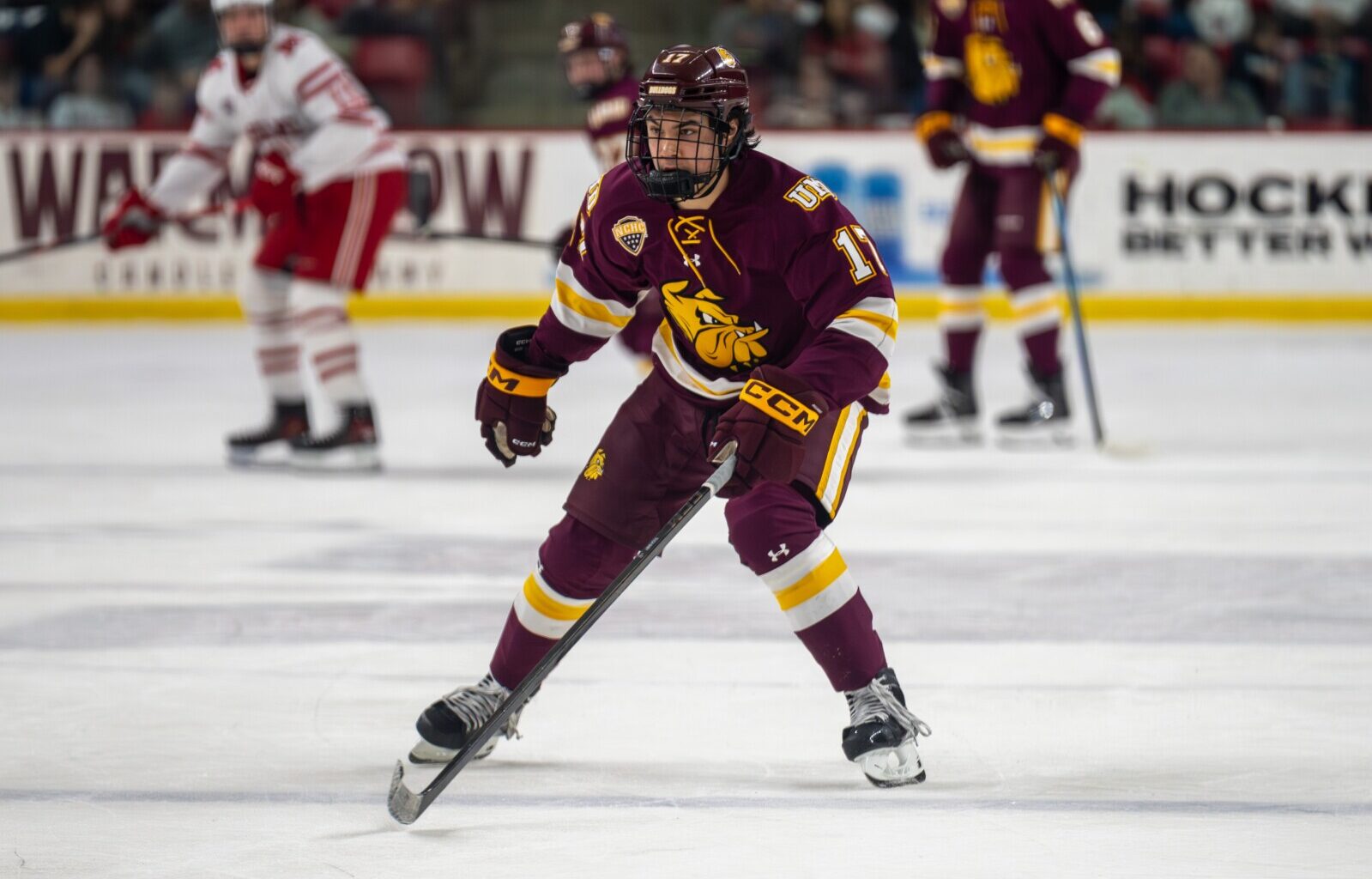 Bulldogs rally, win one for 'Hoagie' at Miami - Duluth News Tribune