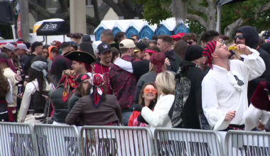 Chilly temps greet hundreds of thousands at Gasparilla Parade of Pirates