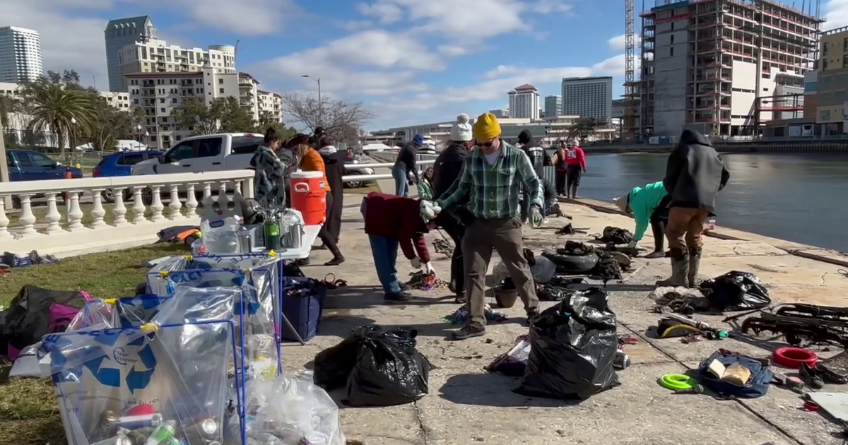 Gasparilla cleanup crews work on land and in waters, over 1,000 pounds of debris removed