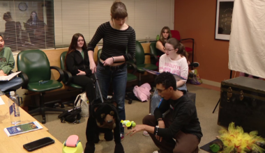 Patel Conservatory's 'To the Stars' hopes to start a love of theatre for younger kids