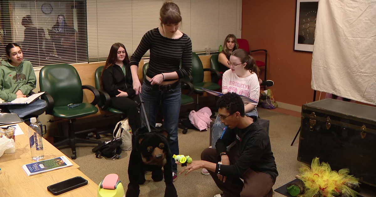 Patel Conservatory's 'To the Stars' hopes to start a love of theatre for younger kids