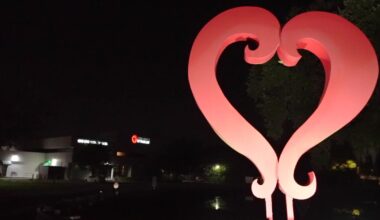 '211 Day' shines light on crisis help available across Tampa Bay