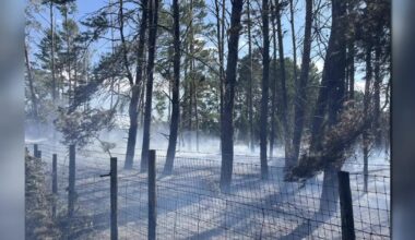 Polk County officials issue burn ban warning to residents as brush fires continue