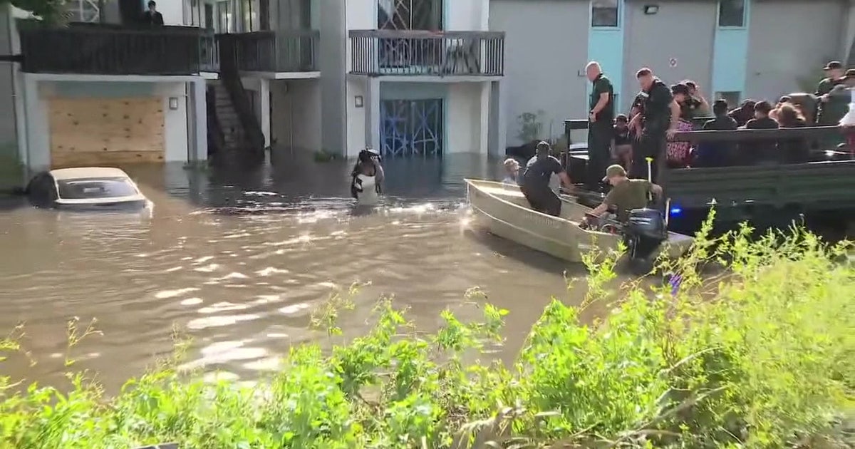 USF secures $1.5M to upgrade hurricane forecasting after relentless 2024 season