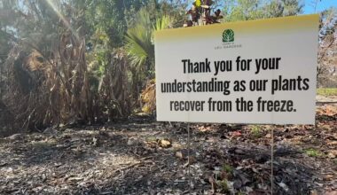 Leu Gardens plant sale battles cold snap impacts