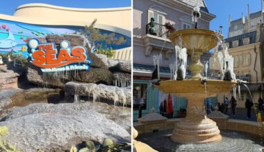 Water Features at Disney World & Universal Orlando Literally Freeze During Rare Cold Weather