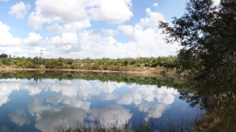 A lake in Mike Roess Gold Head Branch State Park, Florida