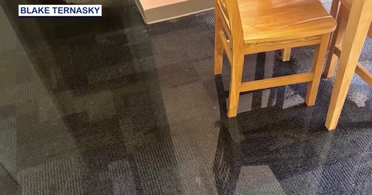 Florida freeze causes flooding at UCF, water outages at public schools