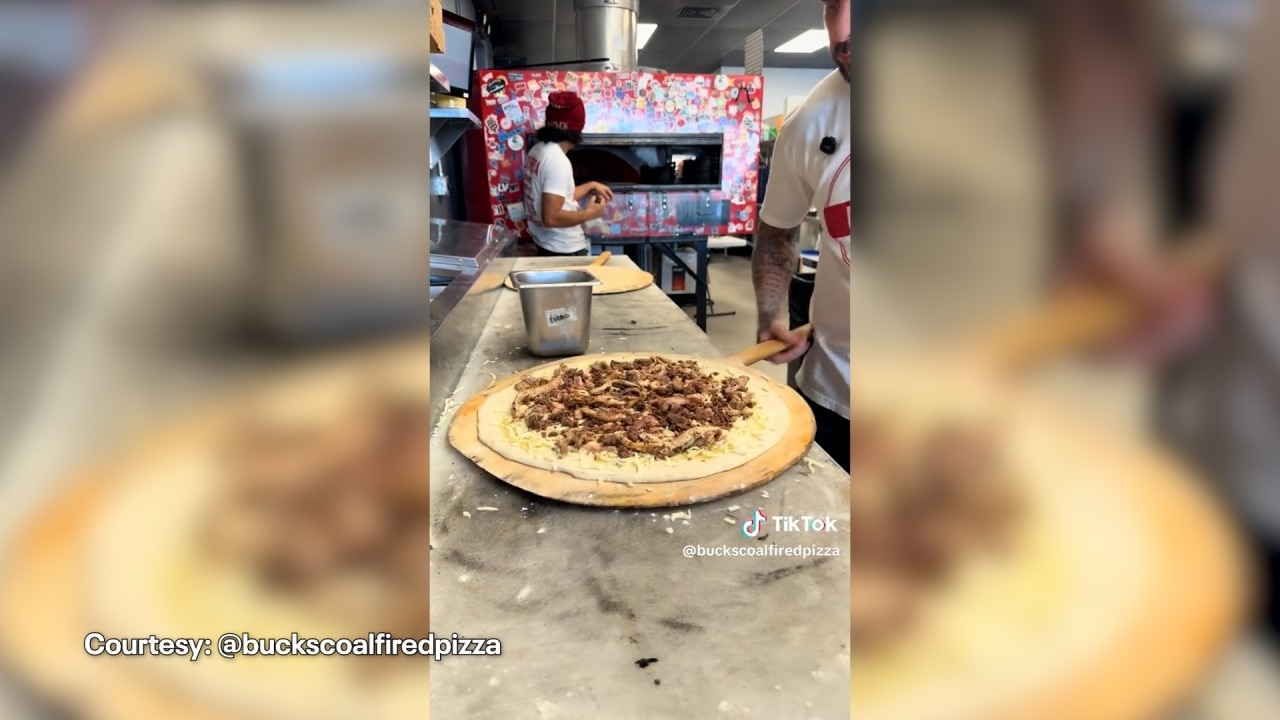 Florida restaurant goes viral for iguana pizza