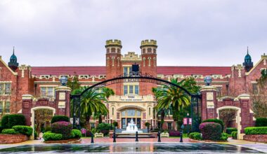 A Girl’s Guide to FSU’s Herbert Wertheim College of Business