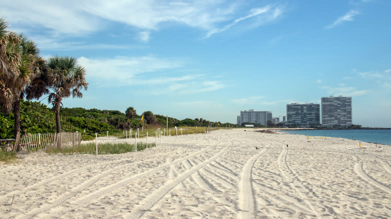 The Dania Beach shoreline with Fort Lauderdale buildings in the background