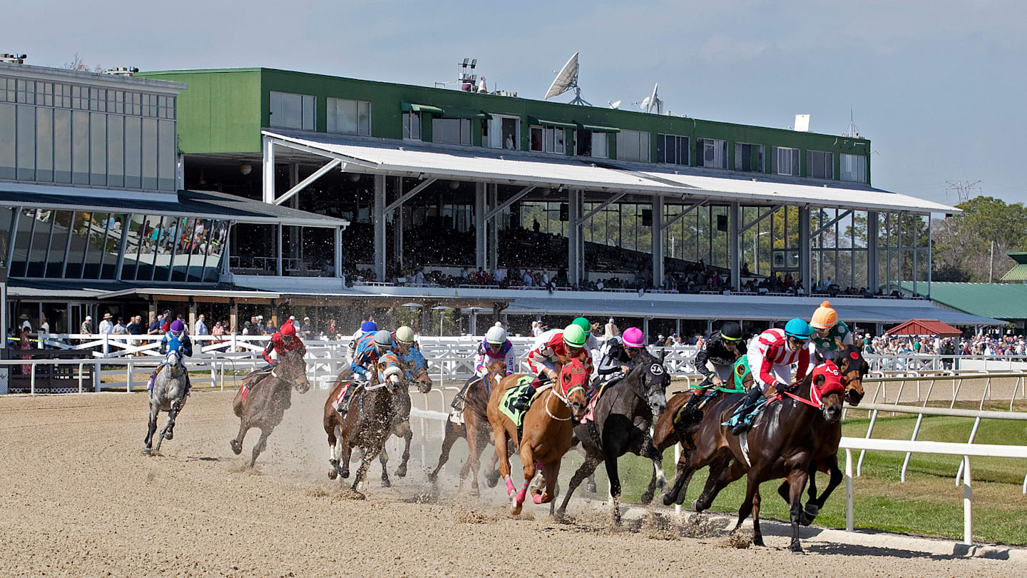 Road to Kentucky Derby