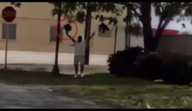 Fort Lauderdale Police release bodycam, surveillance video detailing fatal shooting of armed man - WSVN 7News | Miami News, Weather, Sports