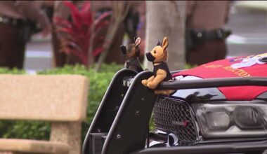 Florida Highway Patrol honors fallen trooper Michael Diego at funeral service Saturday