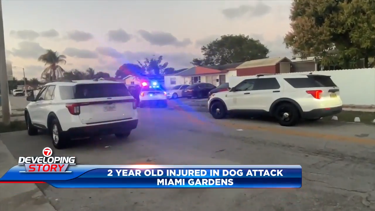 2-year-old rushed to hospital after being attacked by pair of dogs in Miami Gardens home - WSVN 7News | Miami News, Weather, Sports