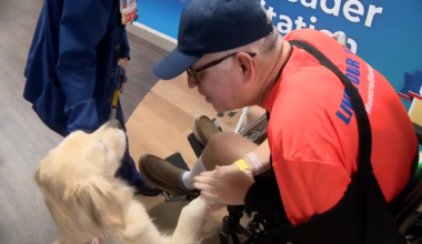 South Florida man receives special sendoff from therapy dog at Memorial Regional following discharge - WSVN 7News | Miami News, Weather, Sports
