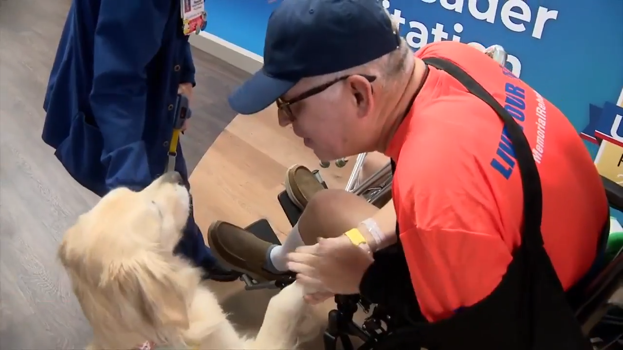 South Florida man receives special sendoff from therapy dog at Memorial Regional following discharge - WSVN 7News | Miami News, Weather, Sports