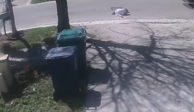 Mother of 12-year-old struck by car in South Miami-Dade says collision could’ve been avoided as video is released - WSVN 7News | Miami News, Weather, Sports