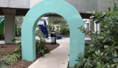 Residents enjoying The Underline project as it nears completion in Miami-Dade - WSVN 7News | Miami News, Weather, Sports