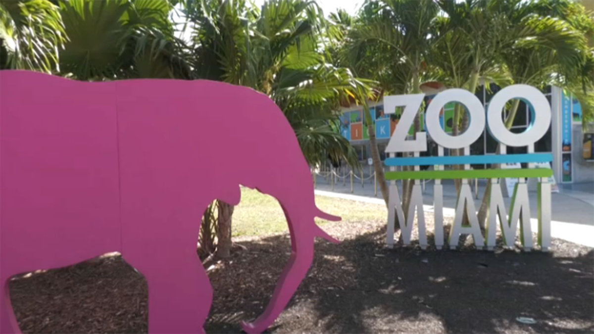 Zoo Miami closes over bomb threat believed to be swatting call, officials say – NBC 6 South Florida