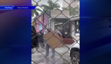 1 arrested at Miami smoke shop while executing search warrant, police say - WSVN 7News | Miami News, Weather, Sports