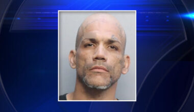 Man arrested after fatally striking 2 college students on Collins Avenue before fleeing into Walgreens - WSVN 7News | Miami News, Weather, Sports