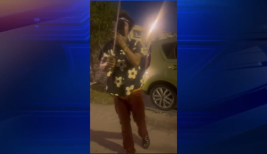 Video shows machete-wielding man threatening to kill stray dog, 2 women in NW Miami-Dade home - WSVN 7News | Miami News, Weather, Sports
