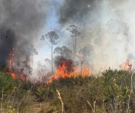 A brush fire in Fort Pierce was contained Sunday afternoon with assistance from multiple agencies, and no injuries or structural damage were reported.