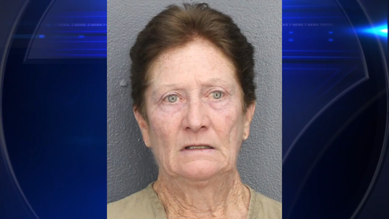 Authorities announce arrest of driver involved in fatal hit-and-run crash in West Park - WSVN 7News | Miami News, Weather, Sports