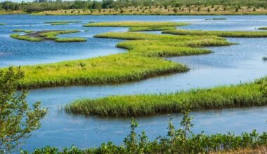 $1.69 Billion Awarded to Strengthen Florida Water Infrastructure and Resilience -- Environmental Protection