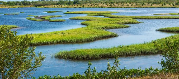 $1.69 Billion Awarded to Strengthen Florida Water Infrastructure and Resilience -- Environmental Protection