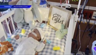 NICU patients at Joe DiMaggio Children’s Hospital celebrate first Easter - WSVN 7News | Miami News, Weather, Sports