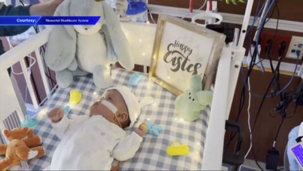 NICU patients at Joe DiMaggio Children’s Hospital celebrate first Easter - WSVN 7News | Miami News, Weather, Sports
